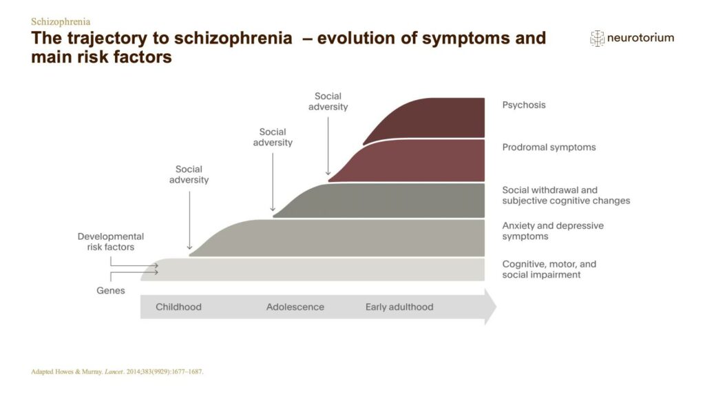 The trajectory to schizophrenia  – evolution of symptoms and main risk factors